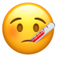 Thermometer emoji